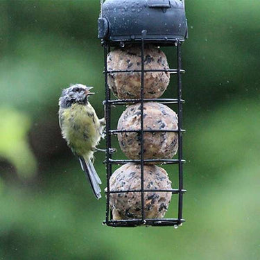 Bird Fatball Feeders